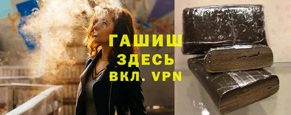 гидра Каменногорск