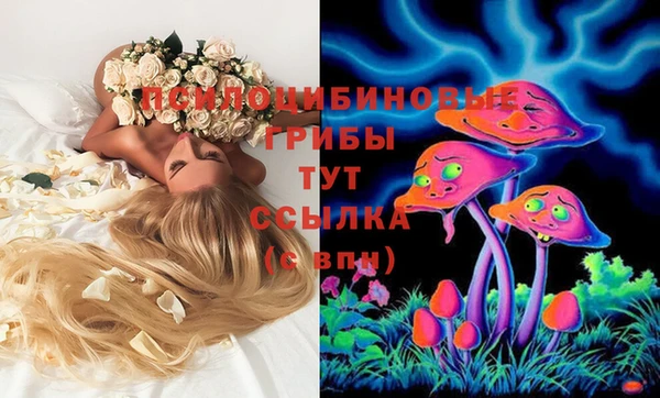 гидра Каменногорск