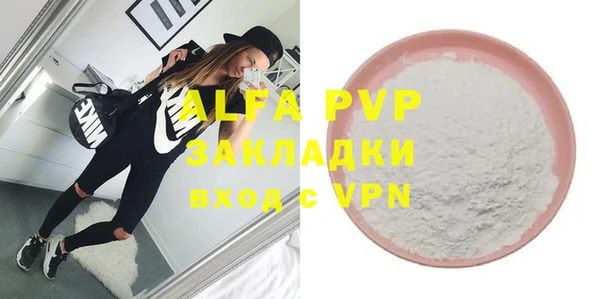 гидра Каменногорск