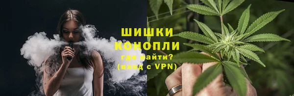 гидра Каменногорск