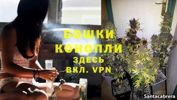 гидра Каменногорск