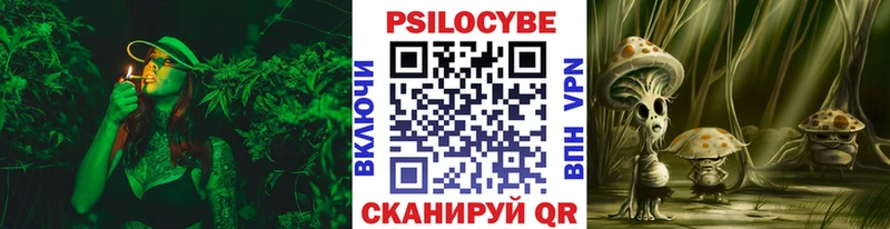 Купить где  Кирово-Чепецк  Галлюциногенные грибы Cubensis 