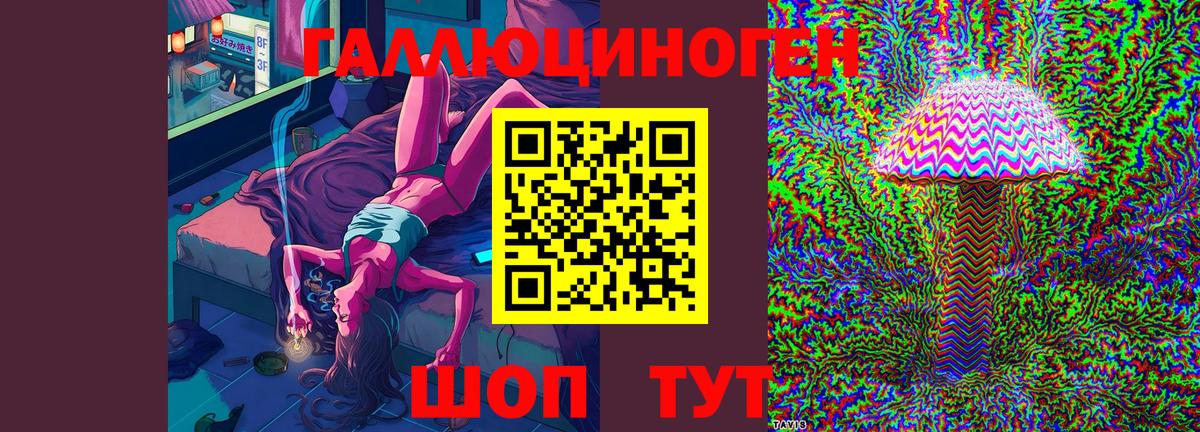 Галлюциногенные грибы Psilocybe  Кирово-Чепецк 